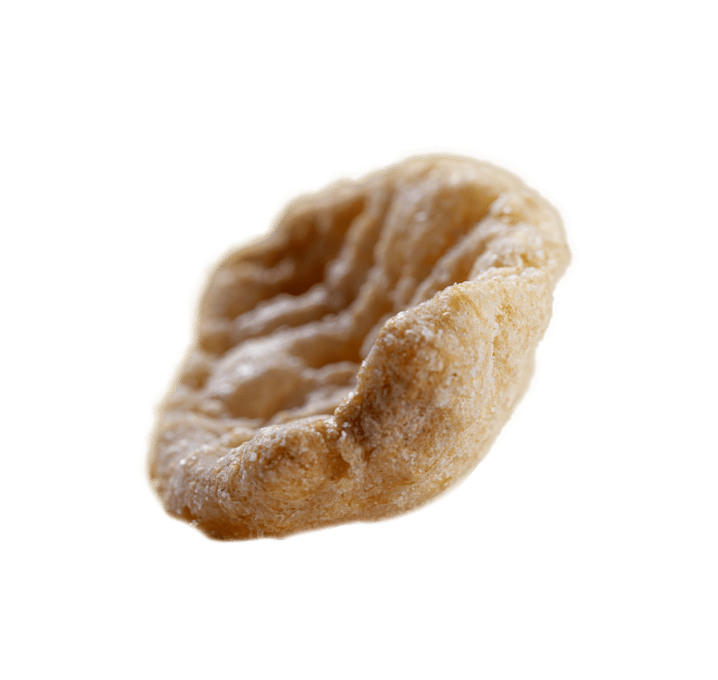 Protein Chips - Sour Cream & Onion Flavor