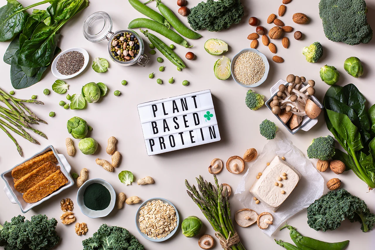 What are the Best Sources of Plant Based Protein?